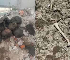 ¿Qué sabemos del hallazgo de restos humanos en la colonia Guerrero?