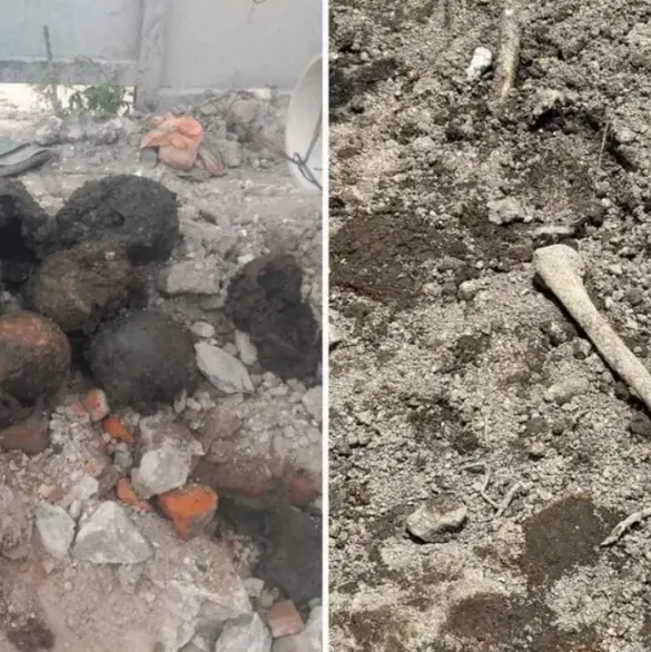 ¿Qué sabemos del hallazgo de restos humanos en la colonia Guerrero?