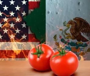 Jitomate bajo fuego: el nuevo arancel de EE.UU. que podría afectar a miles en México