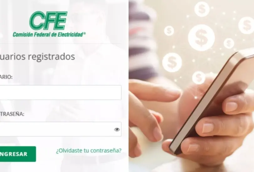Guía práctica para pagar tu recibo de luz sin contratiempos. Guía práctica para pagar tu recibo de luz sin contratiempos.