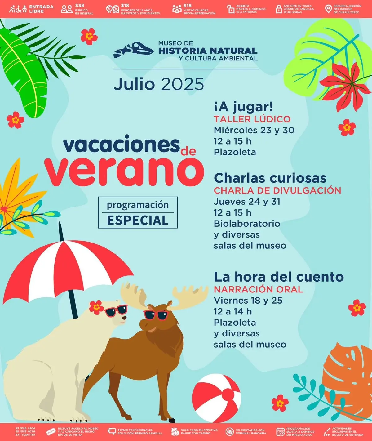 Programación vacaciones de verano en el Museo Historia Natural Especial