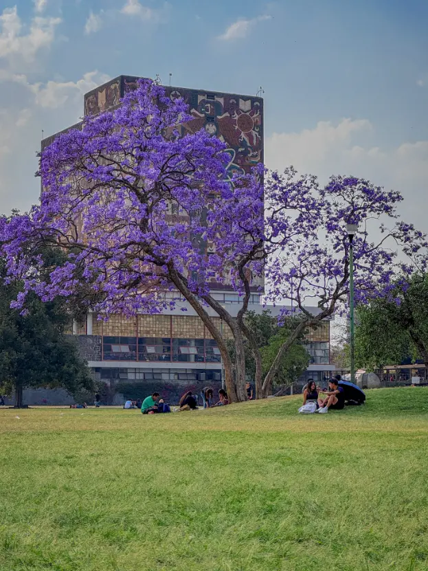 El inicio de clases será el lunes 11 de agosto de 2025. Facebook.