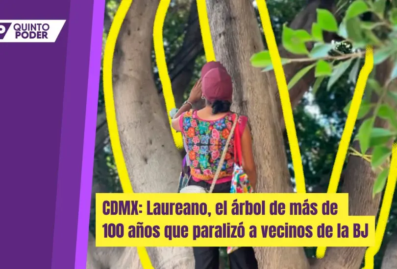 Vecinos y activistas piden seguridad y respaldo garantizado para el árbol de más de 100 años en la Benito Juárez.
