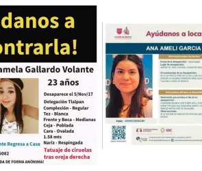 Un mismo lugar, dos desapariciones: similitudes entre los casos de Ana Amelí y Pamela Gallardo en el Ajusco