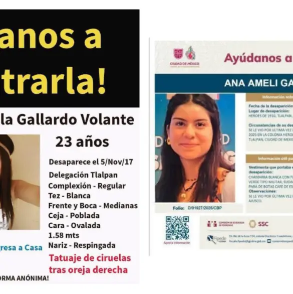 Un mismo lugar, dos desapariciones: similitudes entre los casos de Ana Amelí y Pamela Gallardo en el Ajusco