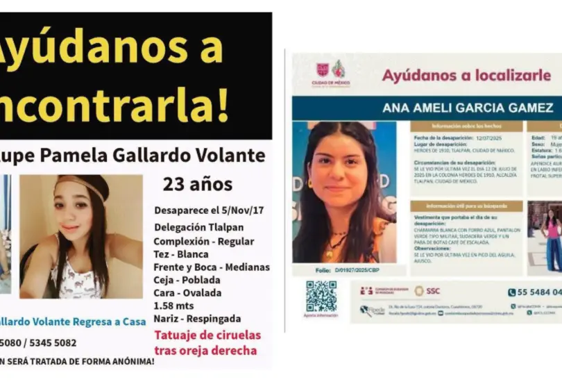 Un mismo lugar, dos desapariciones: similitudes entre los casos de Ana Amelí y Pamela Gallardo Un mismo lugar, dos desapariciones: similitudes entre los casos de Ana Amelí y Pamela Gallardo