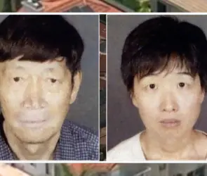 Investigan a pareja tras criar 21 beb&eacute;s mediante vientres de alquiler