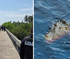 Tragedia en Michoacán: Adolescente cae de puente y es devorado por cocodrilos durante sus vacaciones