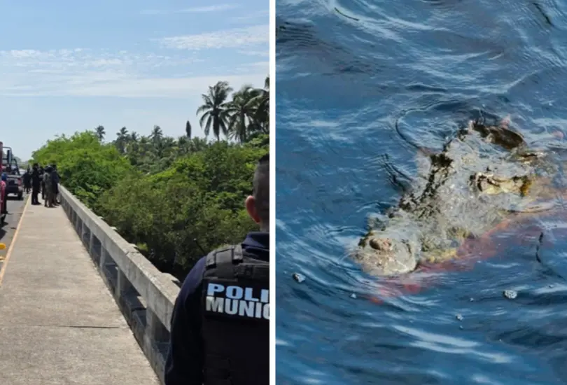 Los hechos ocurrieron en el puente de Barra de Santa Ana. Los hechos ocurrieron en el puente de Barra de Santa Ana.