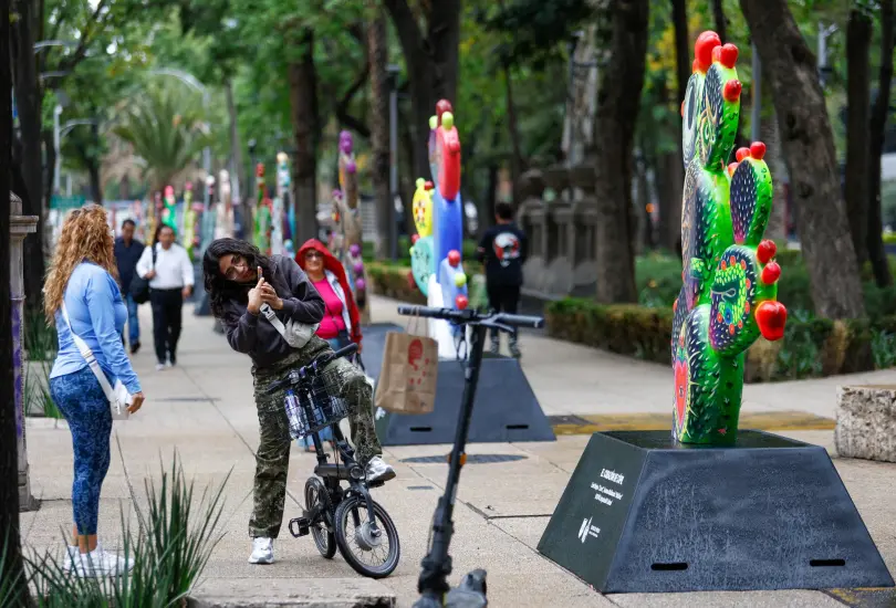 La exposición consiste en 51 esculturas monumentales con forma de nopal, elaboradas por artistas y colectivos mexicanos. La exposición consiste en 51 esculturas monumentales con forma de nopal, elaboradas por artistas y colectivos mexicanos.