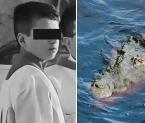 Los casos recientes más trágicos de personas que fueron devoradas por animales