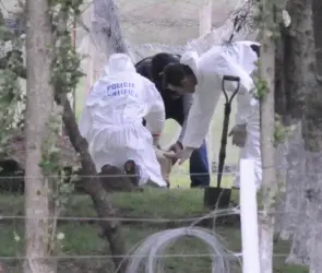 Hallan muerto a Valentino, niño de 2 años que se había perdido; fue devorado por perros