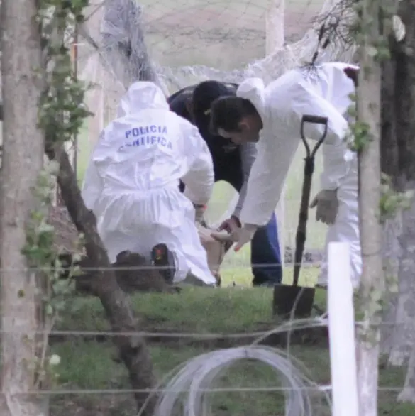 Hallan muerto a Valentino, niño de 2 años que se había perdido; fue devorado por perros