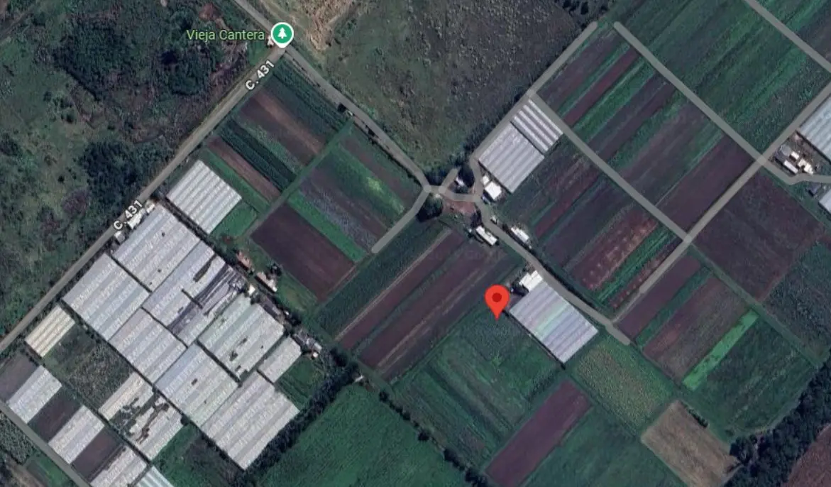 El cuerpo del niño fue hallado en un campo de berenjenas. X.