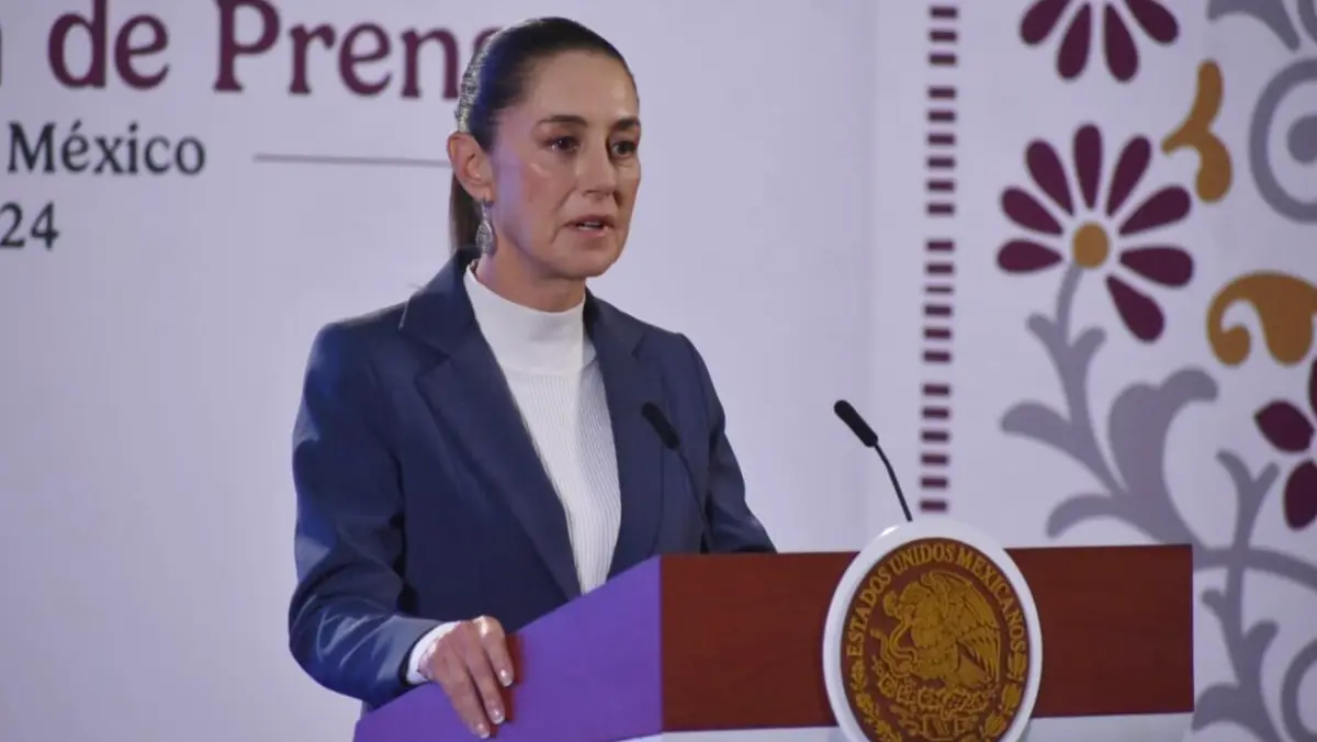 La mujer solicitó desesperadamente ayuda a México. Presidencia.