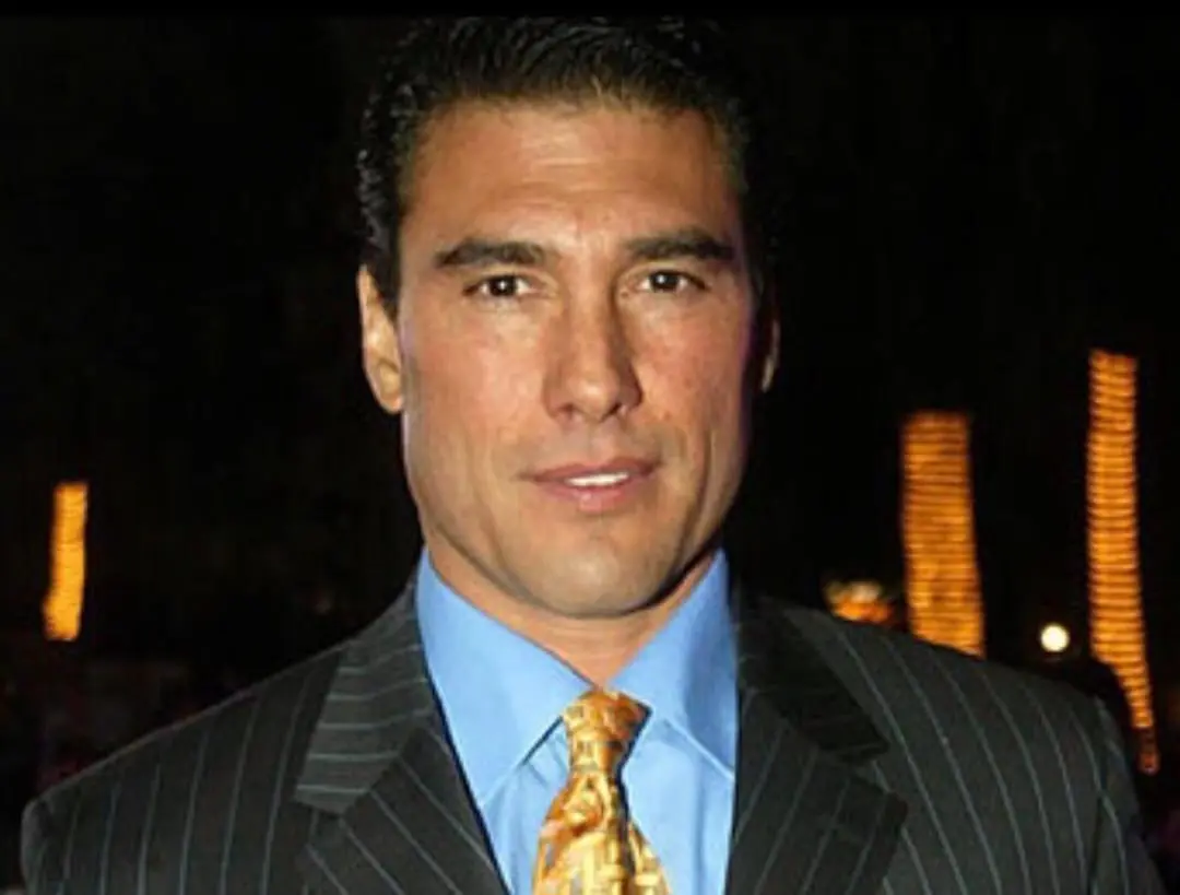 Recuper&oacute; su &eacute;xito en M&eacute;xico y protagoniz&oacute; telenovelas como 'Destilando amor', 'Fuego en la sangre' y 'Coraz&oacute;n guerrero'.