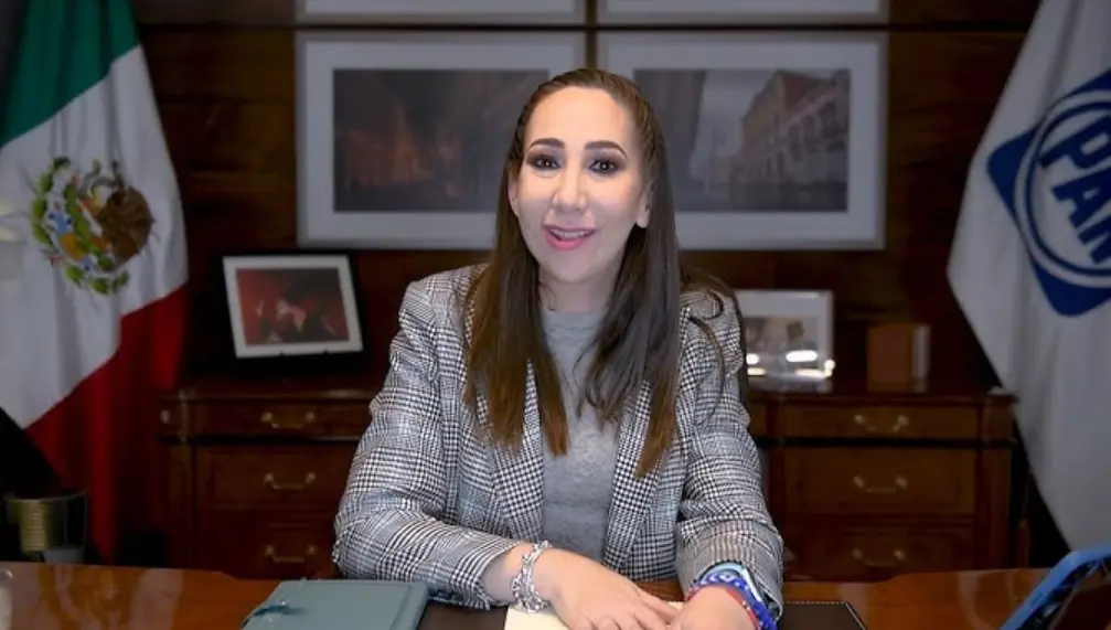 La vicecoordinadora del PAN en la Cámara de Diputados, Noemí Luna, fue quien confirmó la presentación de la denuncia. YouTube.