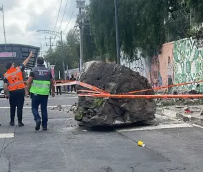 Cae roca gigante desde el Cerro del Tepeyac y lesiona a adulto mayor; está grave