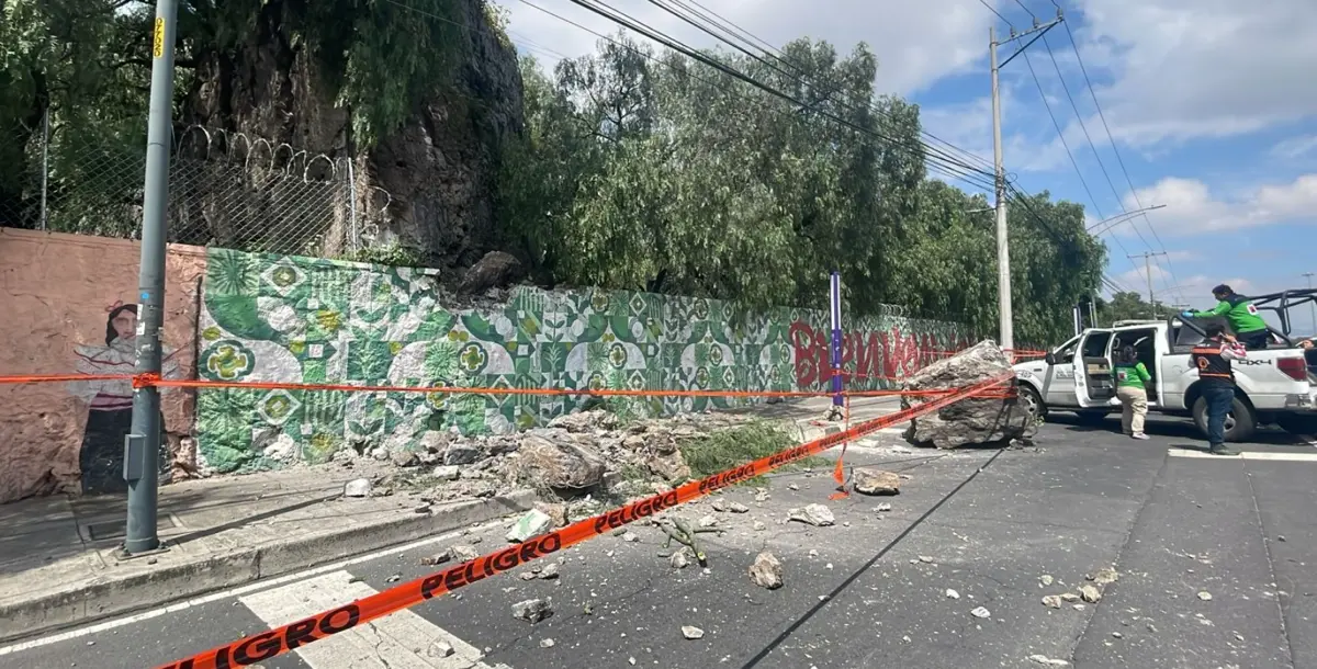 El desprendimiento se atribuyó al reblandecimiento del suelo provocado por las lluvias recientes. Secretaría de Gestión Integral de Riesgos y PC.