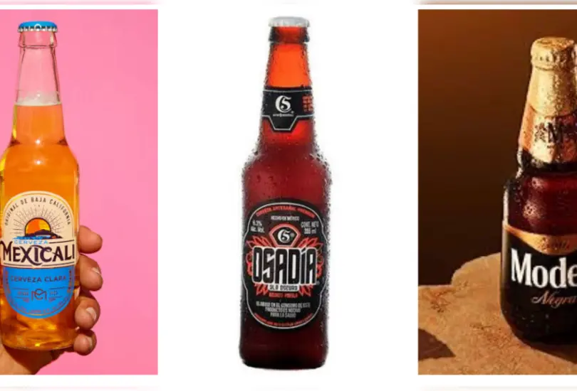 Estas son las cinco cervezas con más calorías, según Profeco Estas son las cinco cervezas con más calorías, según Profeco