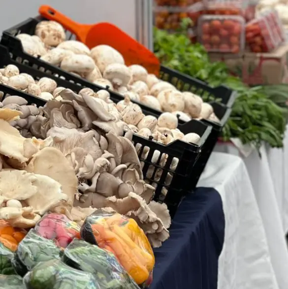 Feria del Hongo 2025: Comida, música y tradición en la CDMX