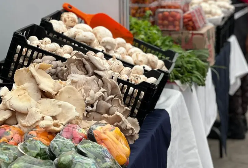 Este evento gastronómico reunirá a decenas de productores, cocineros y artesanos de la región. Este evento gastronómico reunirá a decenas de productores, cocineros y artesanos de la región.