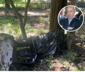Árbol derriba estatua de Felipe Calderón en Los Pinos; costó más de medio millón de pesos