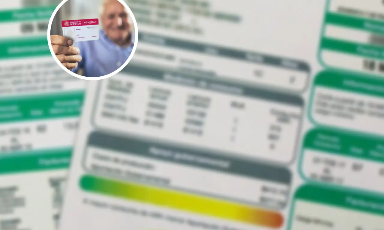 ¿Habrá descuento con la tarjeta INAPAM en el recibo de CFE? 