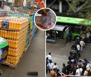 ¿En qué se va el dinero? El gasto que está "devorando" tu salario