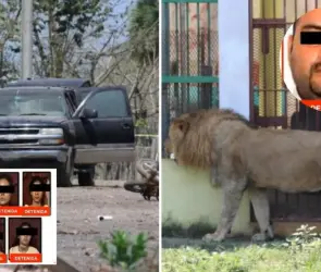 Los Pi&ntilde;a: la c&eacute;lula del CJNG que ten&iacute;a un zool&oacute;gico privado en Veracruz 