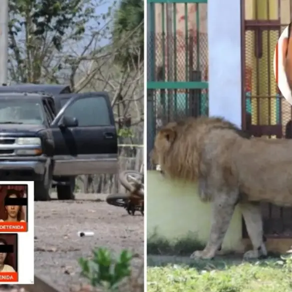 Los Piña: la célula del CJNG que tenía un zoológico privado en Veracruz 