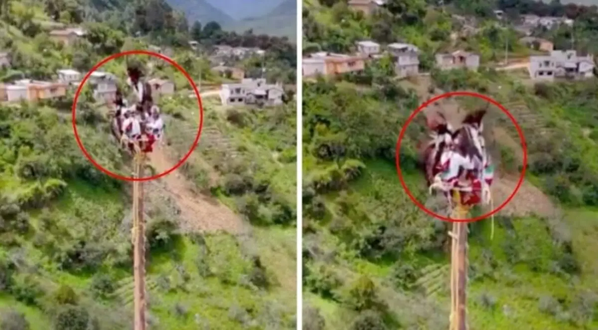  Caporal casi cae en show de voladores de Papantla. 
