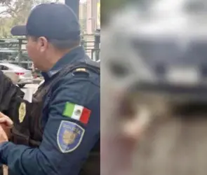 Mujer embiste a perrito Husky en la CDMX y se burla del suceso