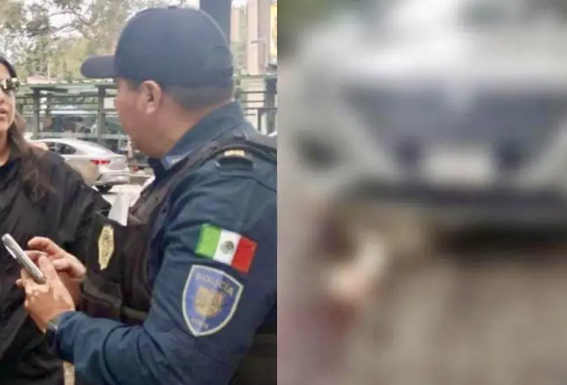 Mujer embiste a perrito Husky en la CDMX y se burla del suceso Mujer embiste a perrito Husky en la CDMX y se burla del suceso