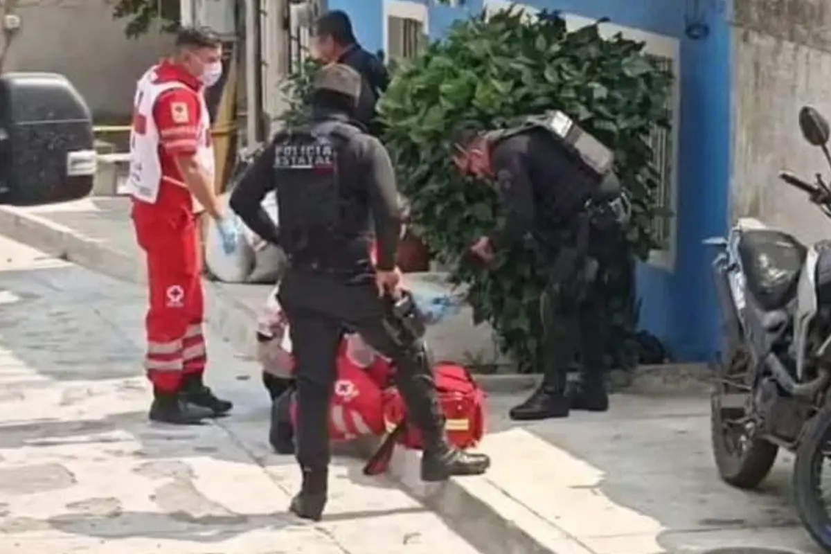  Perro juega con brazo humano en calles de Tlaquepaque 
