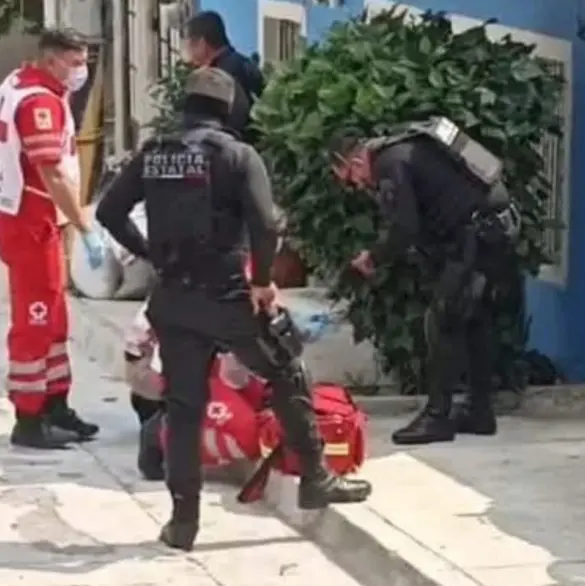 Macabro hallazgo: perro juega con brazo humano en calles de Tlaquepaque