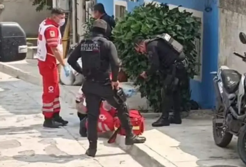 Perro juega con brazo humano en calles de Tlaquepaque Perro juega con brazo humano en calles de Tlaquepaque