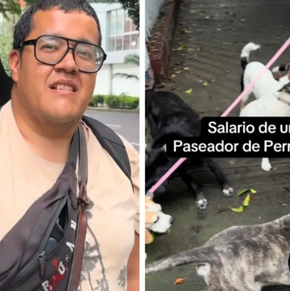 ¿Para qué estudié?: Paseador de perros sorprende al revelar lo que gana al mes