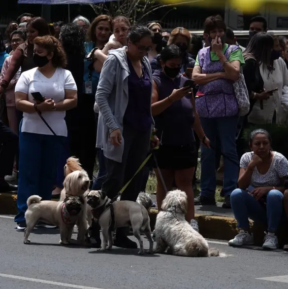 Segundo Simulacro Nacional 2025: Fecha, hora y en qué estados sonará la alerta, además de la CDMX