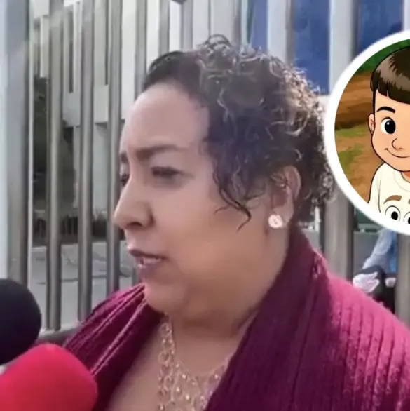 Caso Fernandito: destituyen a abogada del caso en plena audiencia
