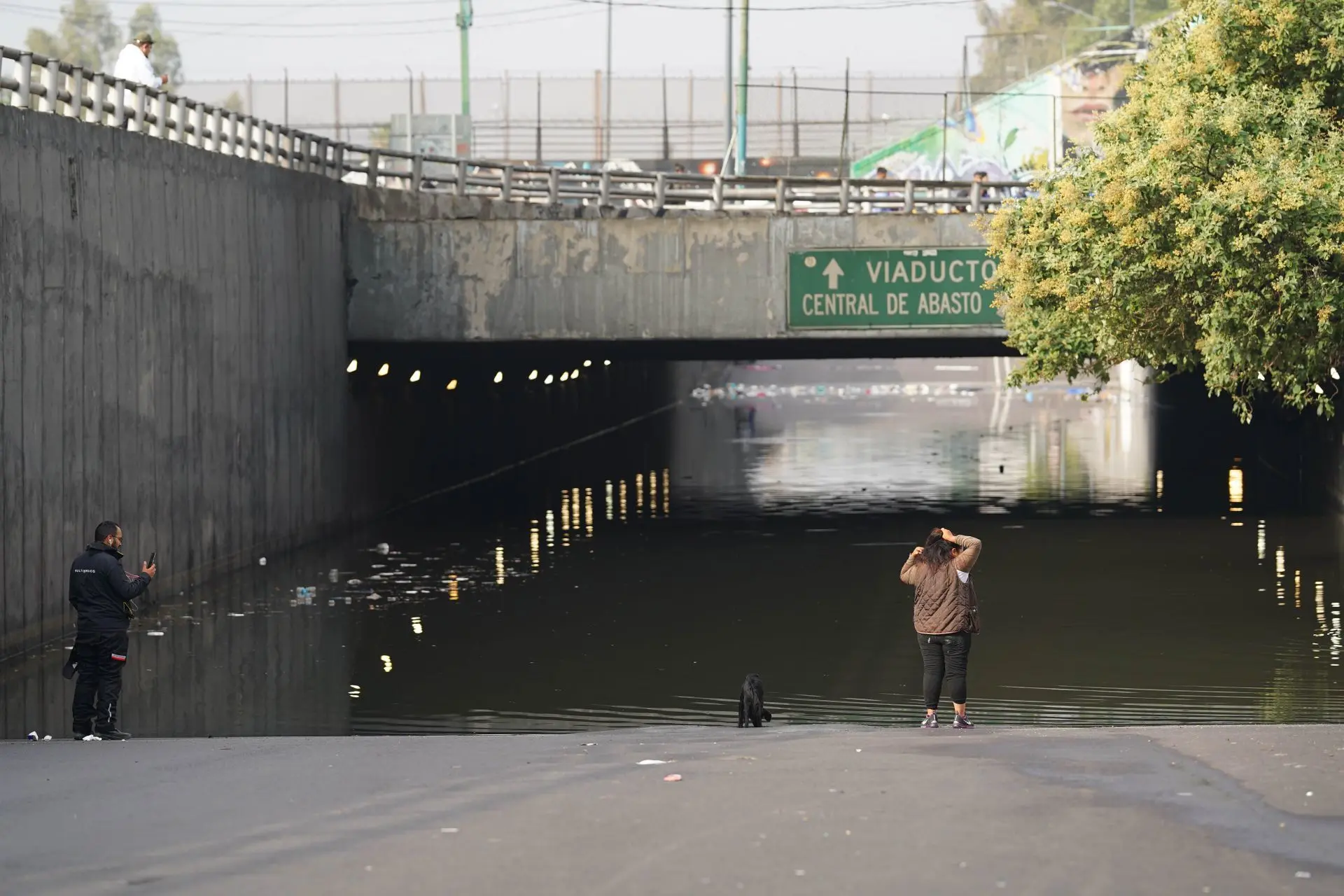 La Ciudad de México ha sido azotada por las fuertes lluvias.