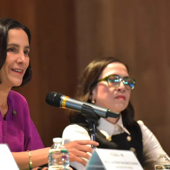 Luz Elena González revela número de usuarios de la CFE en su aniversario