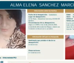 Alma Sánchez llegó a CDMX desde Chiapas para trabajar; su cuerpo fue hallado enmurallada en una construcción