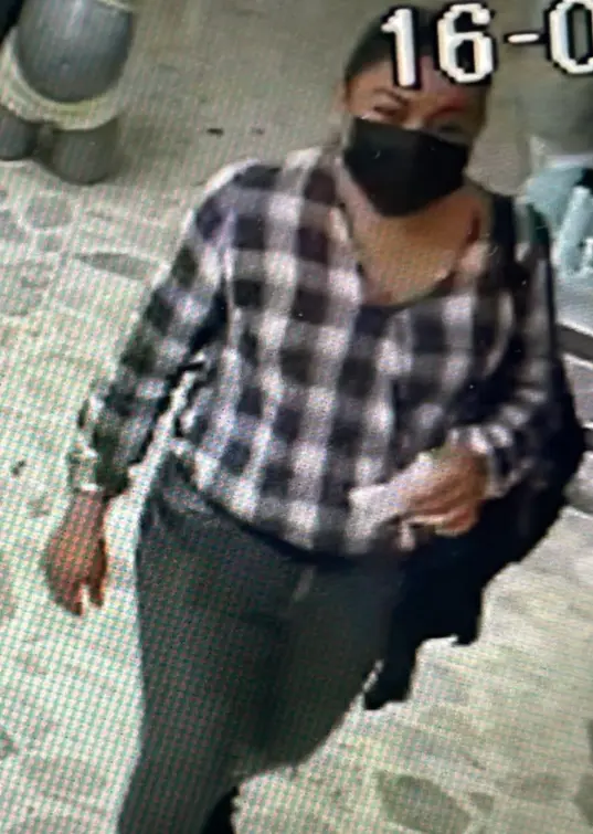 Esta es la mujer que secuestró al menor. Captura de pantalla.