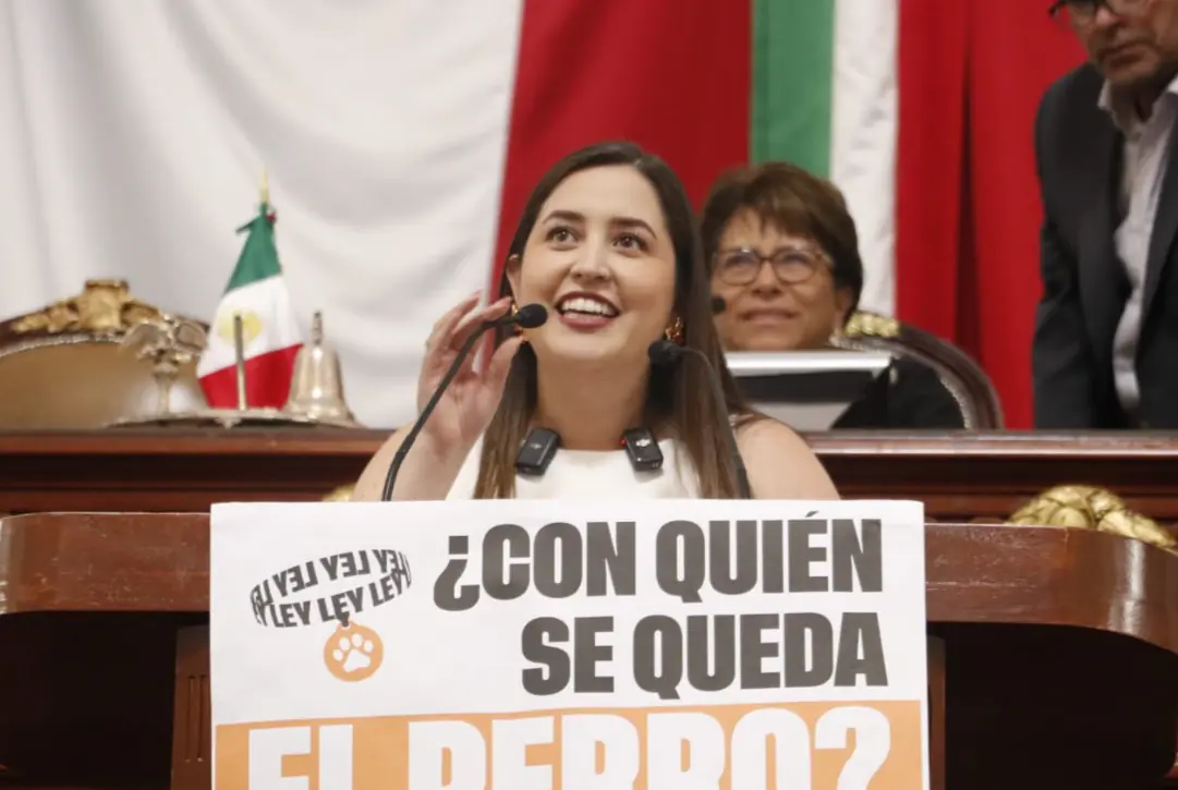Los legisladores coincidieron en que se necesitaba un marco normativo que protegiera a los animales en procesos de separación. X.