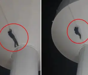 Escala tanque de agua y muere al caer al vacío desde varios metros de altura; así fue el impactante momento 