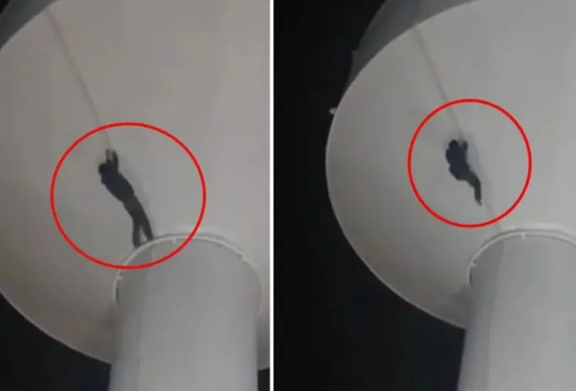 El momento de la caída quedó grabado en un video. 