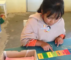 ¿Dónde está el género? Una mirada a los programas sectoriales de educación estatales