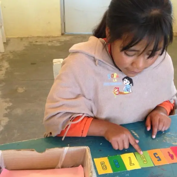 ¿Dónde está el género? Una mirada a los programas sectoriales de educación estatales