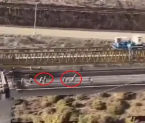 "¡Ya valió mxdrx!": Momento en que colapsa enorme grúa en obra del viaducto elevado y casi aplasta a trabajadores en Tijuana